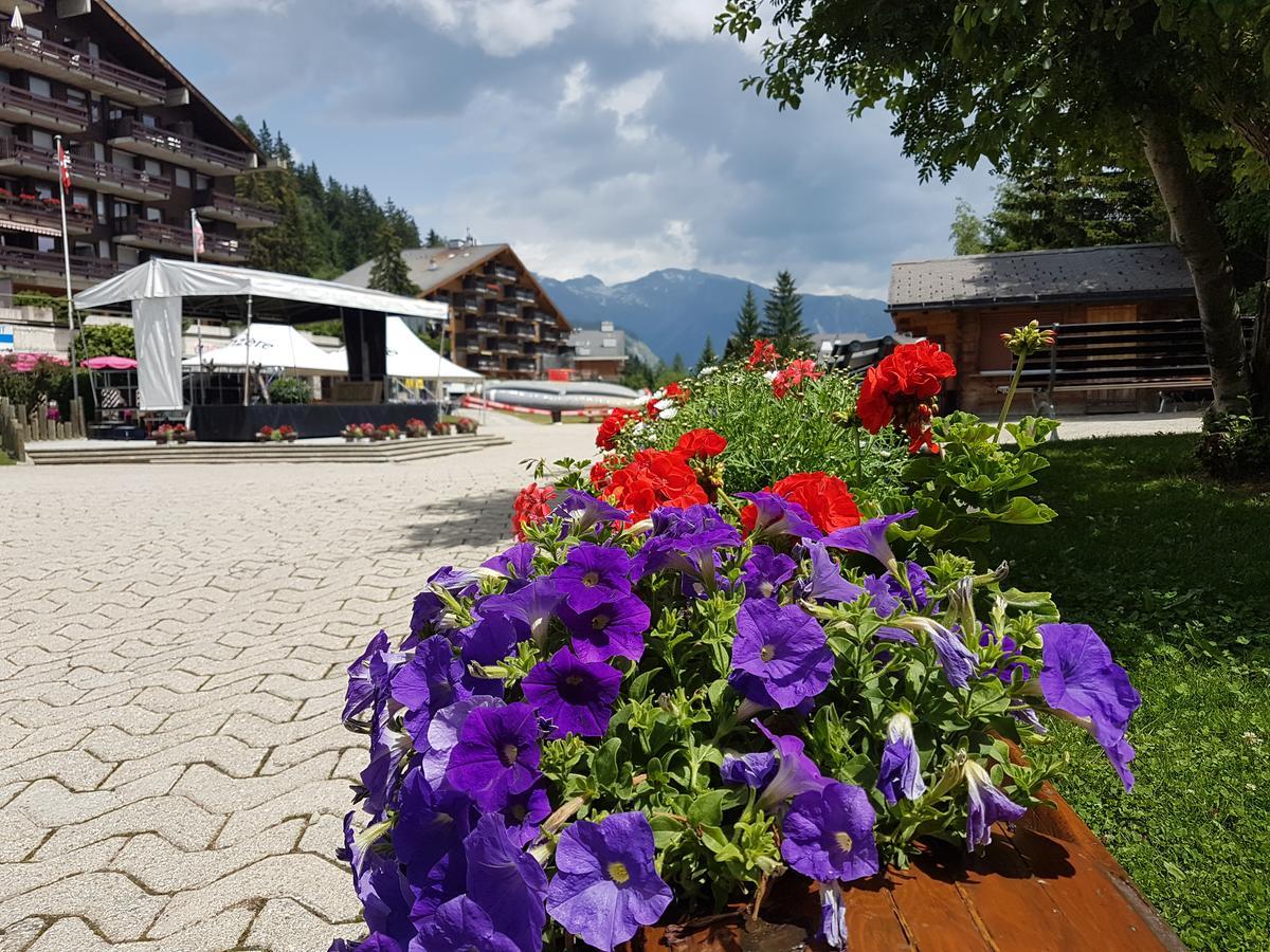Holidays Groupes Anzere Luaran gambar