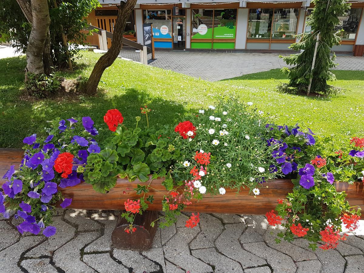 Holidays Groupes Anzere Luaran gambar